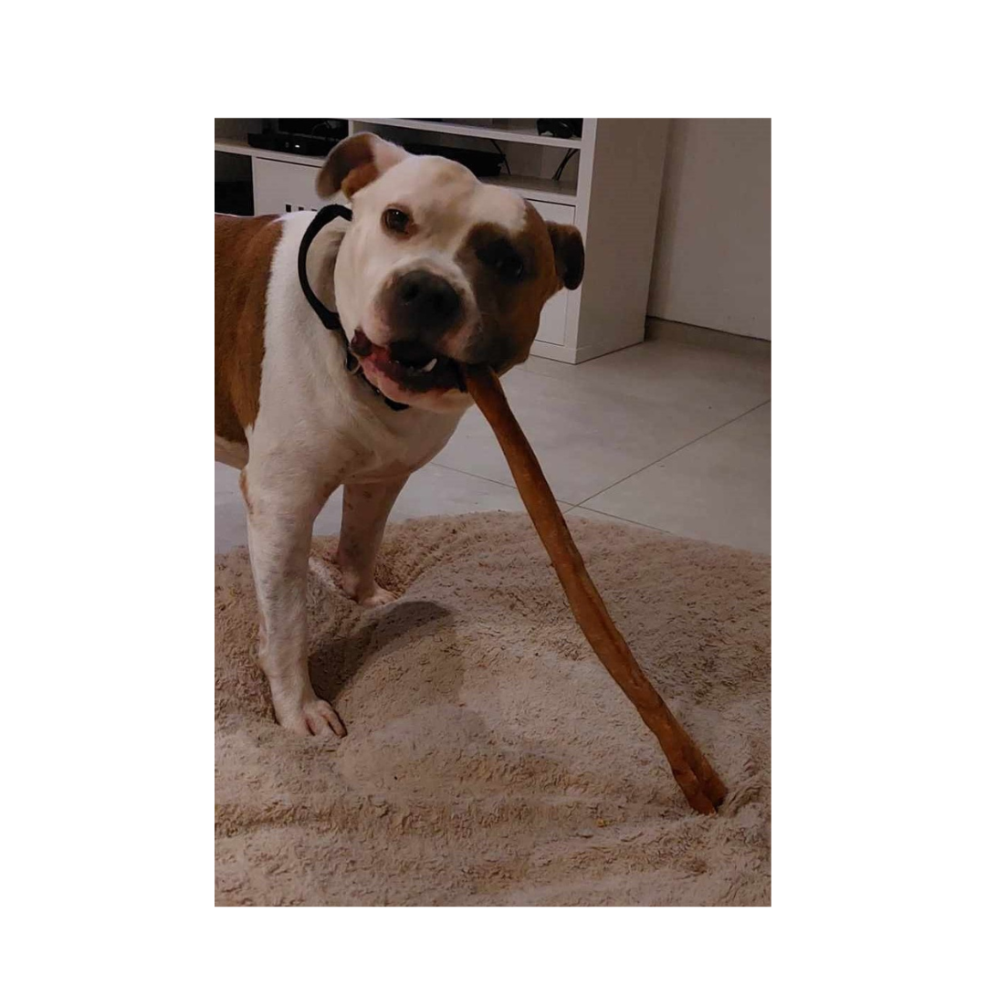 jax met varkenszwoerd rol