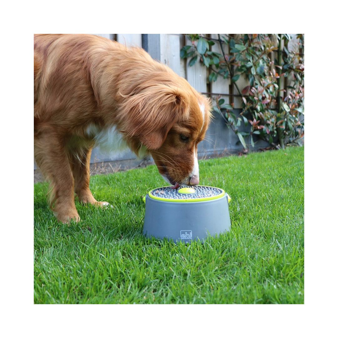 ebi twist and lick ball 2