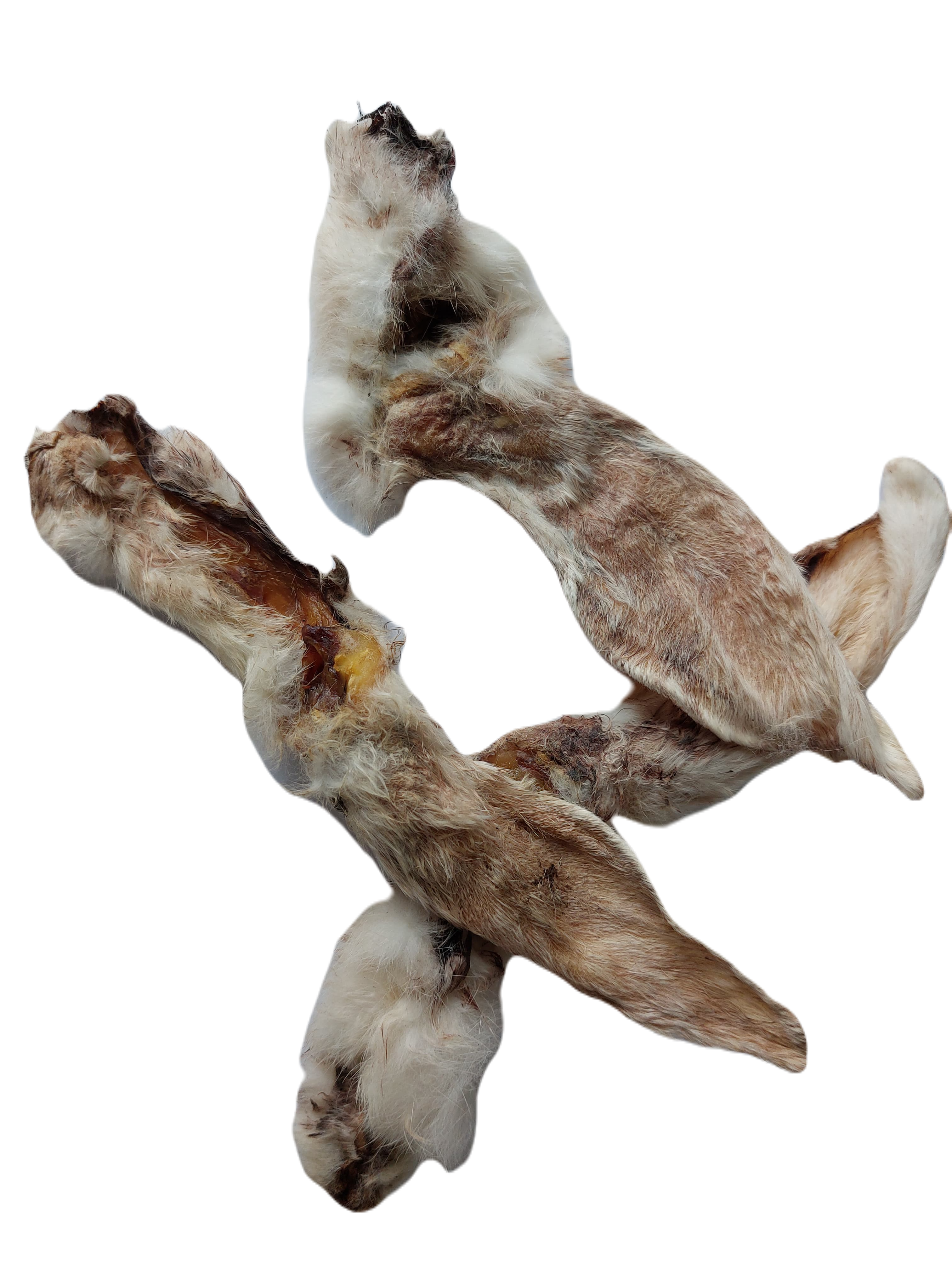 konijnenoren-met-haar