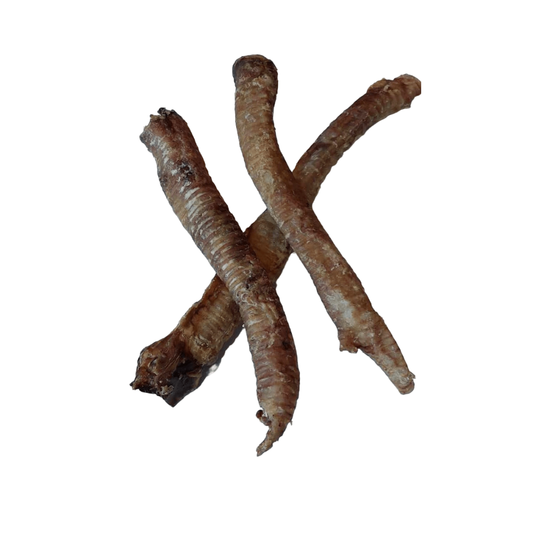 lamsluchtpijp 2 lamsluchtpijp