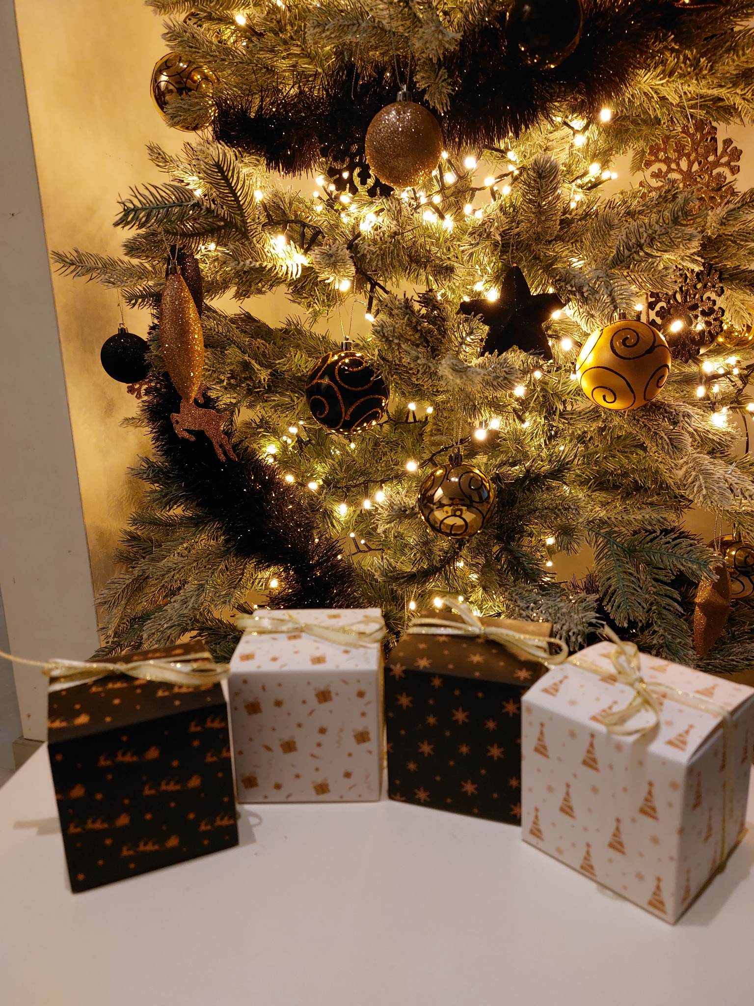 verrassingsdoosje-hond