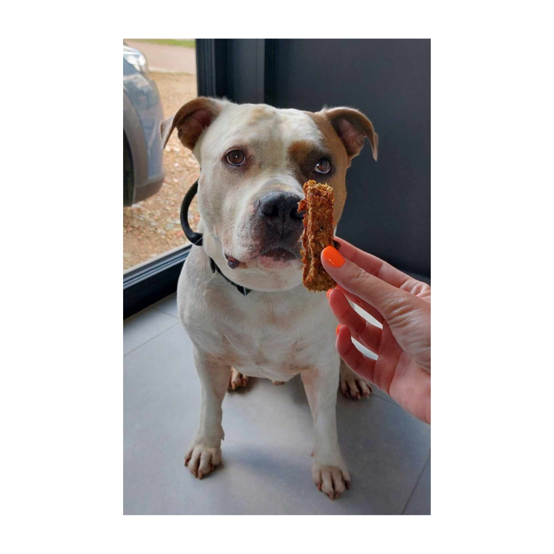 jax met visvingers makreel visvingers-makreel