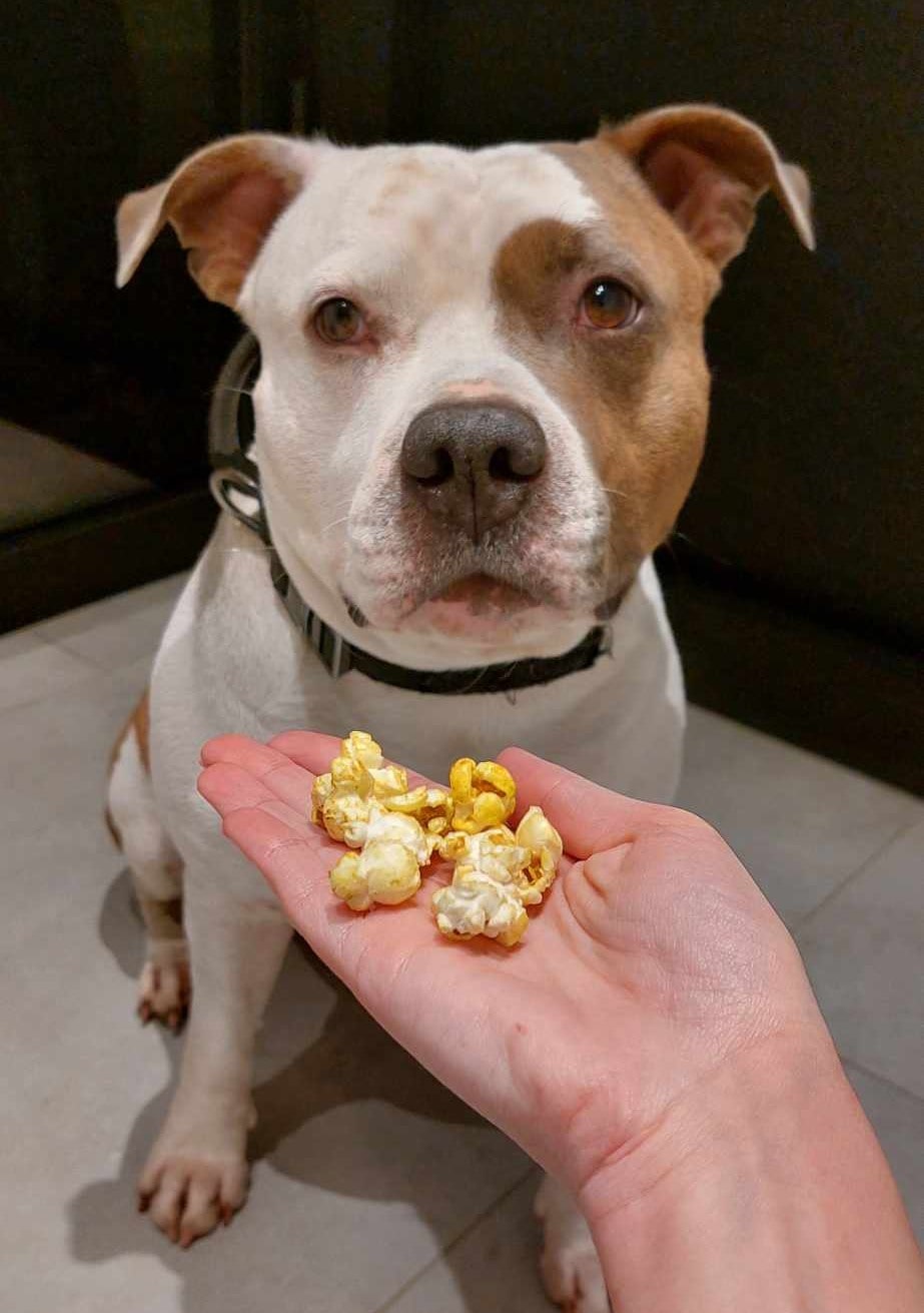 Jax met waniyanpi popcorn met kurkuma-min waniyanpi-popcorn-met-kurkuma