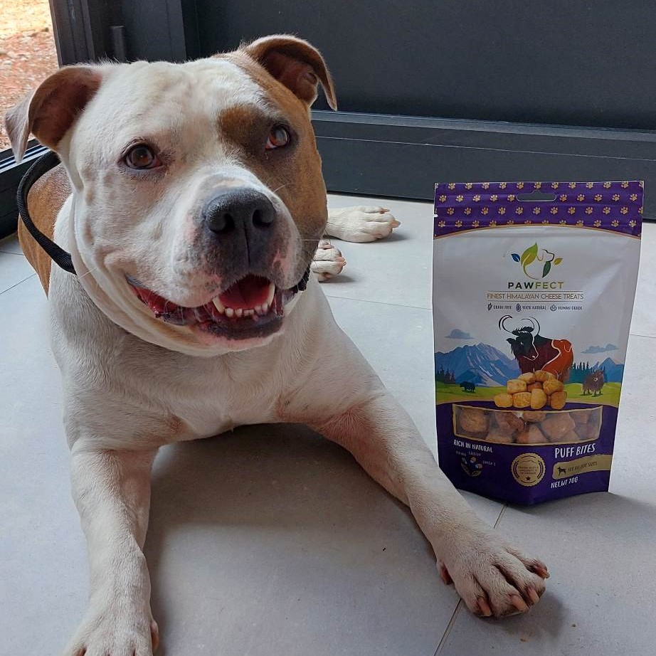 Jax-met-kaaskoekjes puff-bites