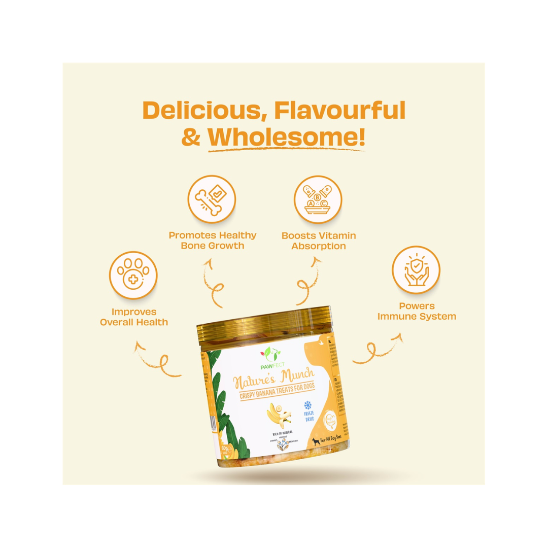 Pawfect banaan 4 pawfect-gevriesdroogd-fruit-banaan