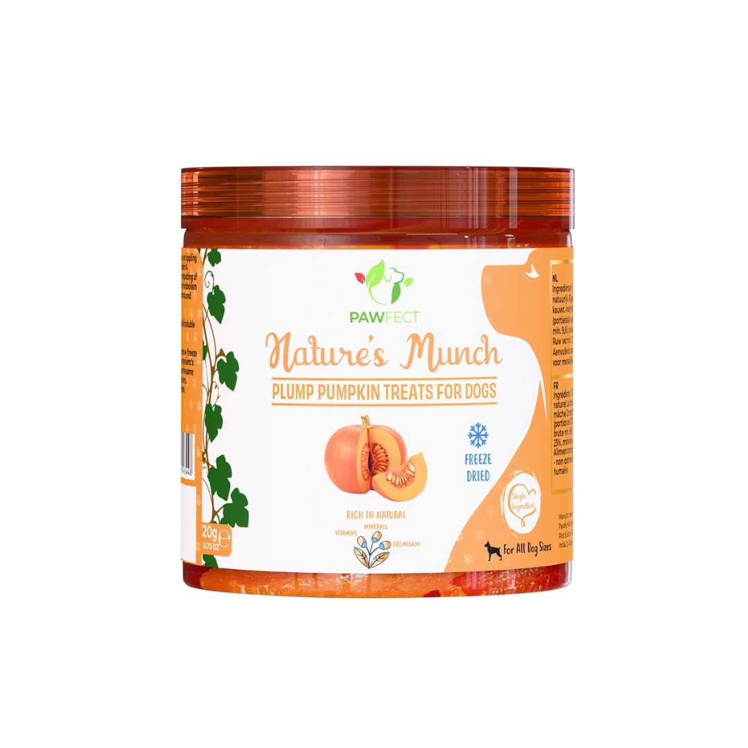 Pawfect pompoen pawfect-gevriesdroogd-fruit-pompoen