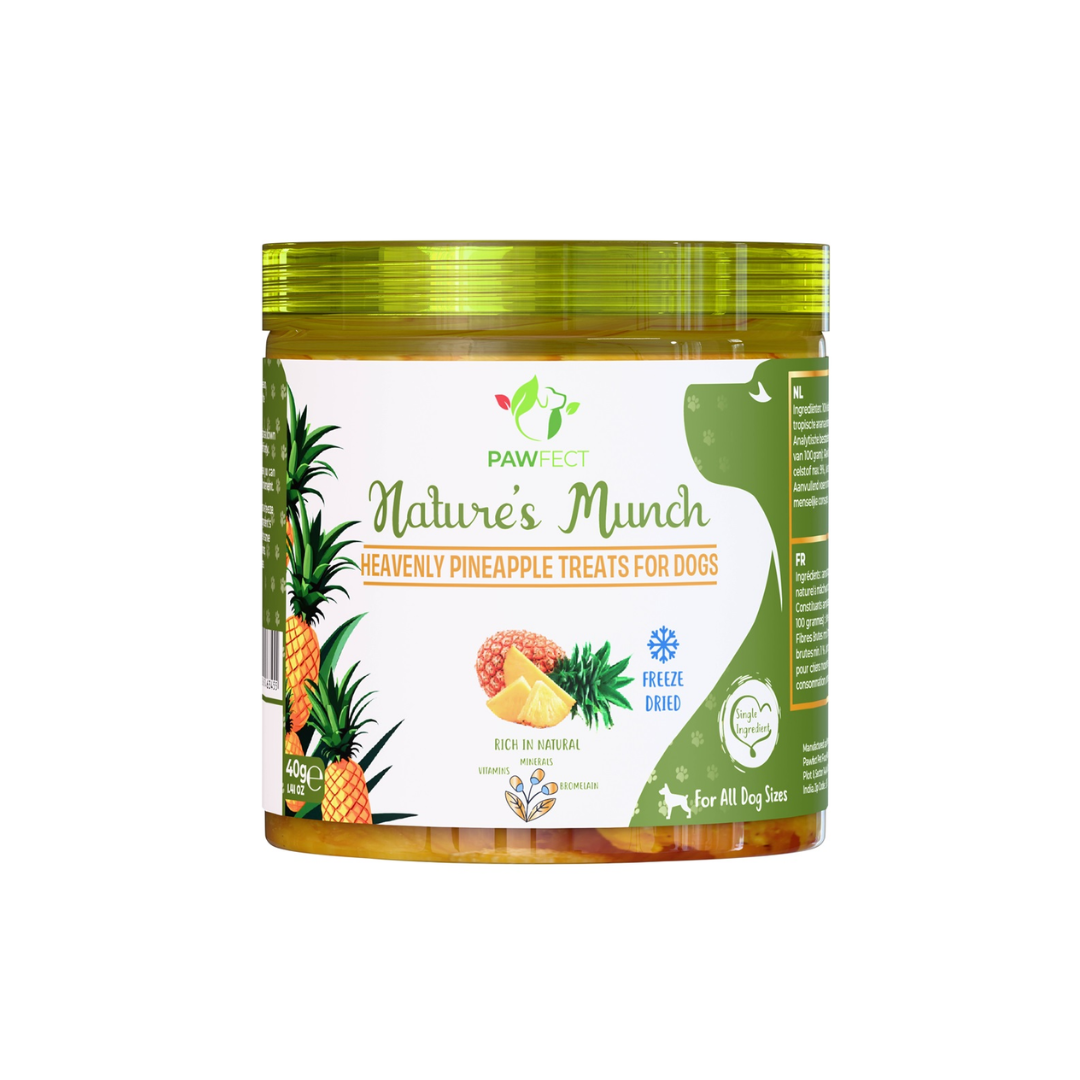 pawfect ananas pawfect-gevriesdroogd-fruit-ananas