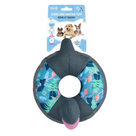 waterspeeltje eend2 waterspeeltje-eend