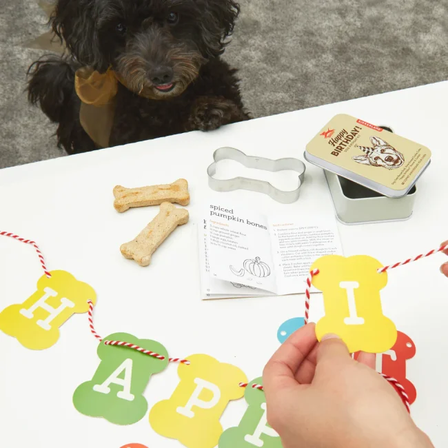 kobe-dog-birthday-kit