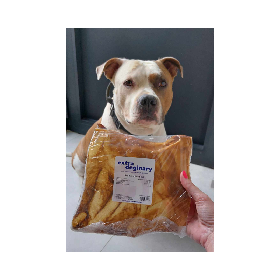 jax-met-runderkophuidplaten