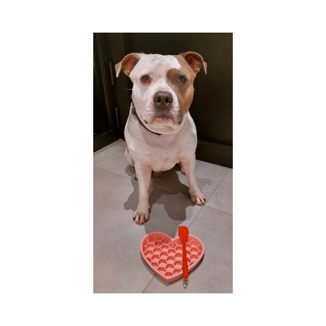 Jax met doggotique slowfeeder likmat hart roze doggotique-slowfeeder-likmat-hart-roze