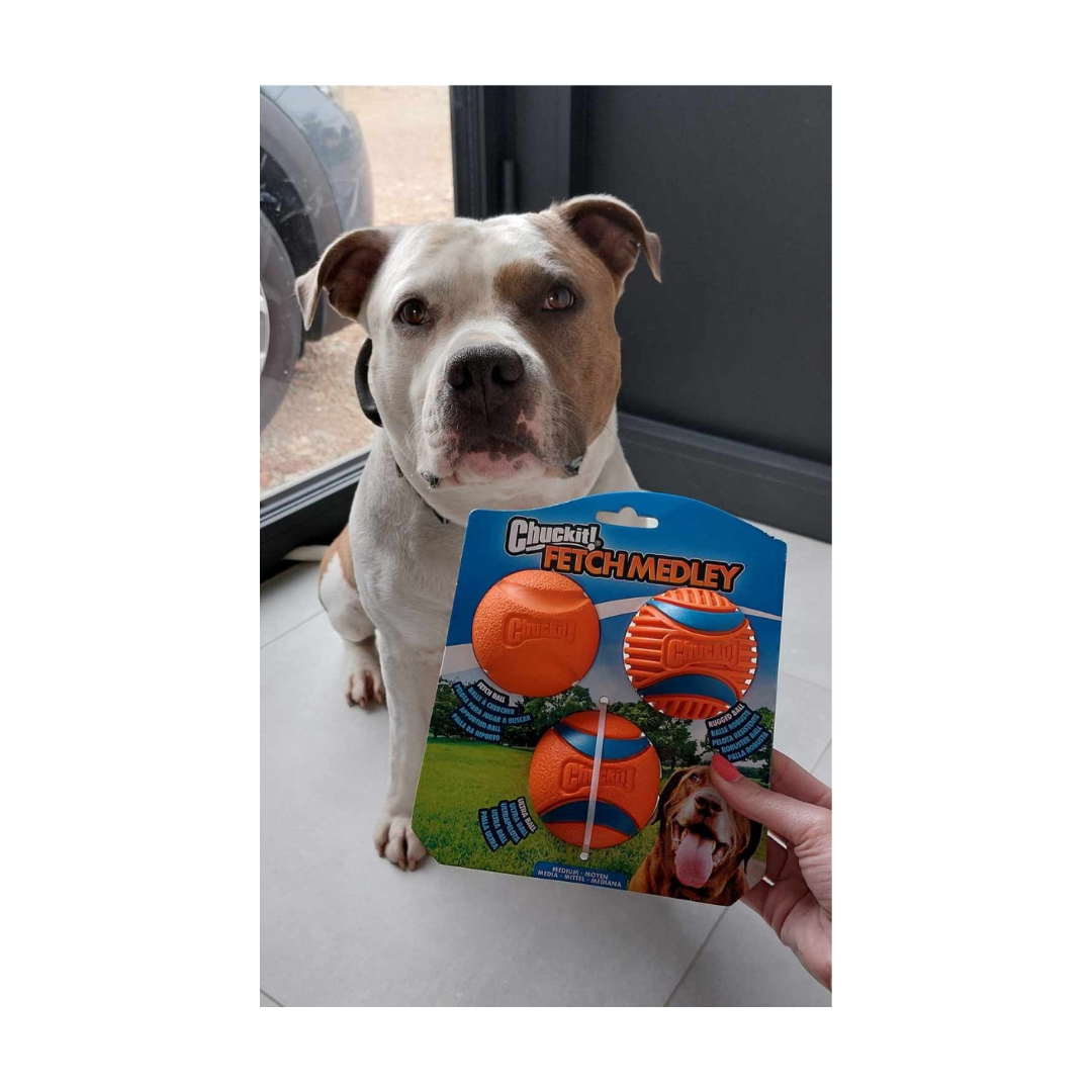 chuckit fetch medley 4 chuckit-fetch-medley