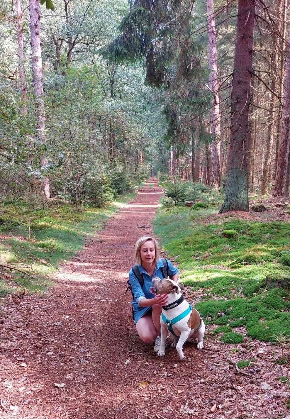 van-maanen-vakantiehuizen