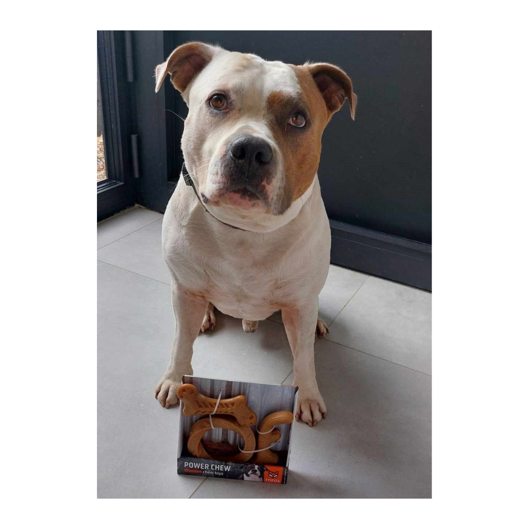 jax met fofos wooden stix set s-m fofos-wooden-stix-set