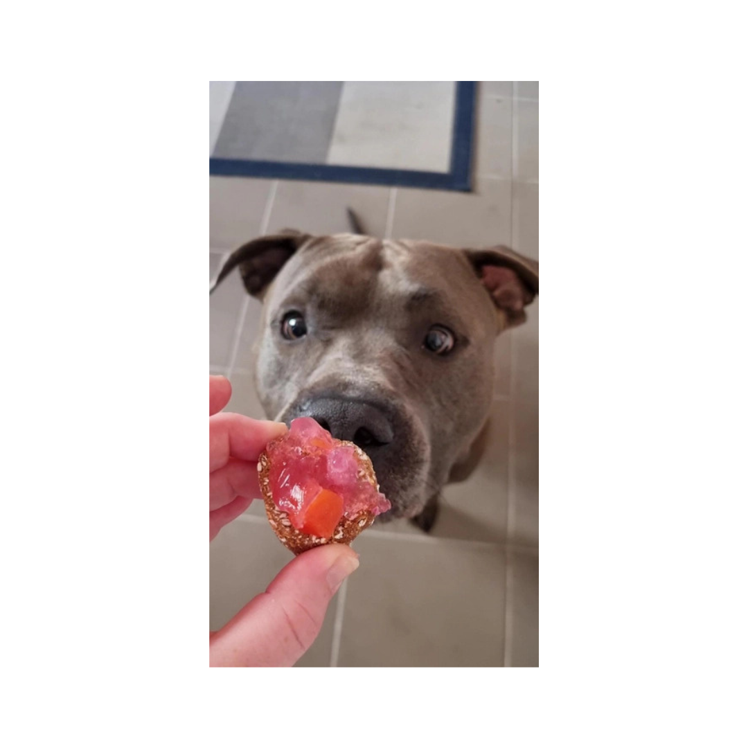 bakmix hondenbrood 3 bakmix-hondenbrood