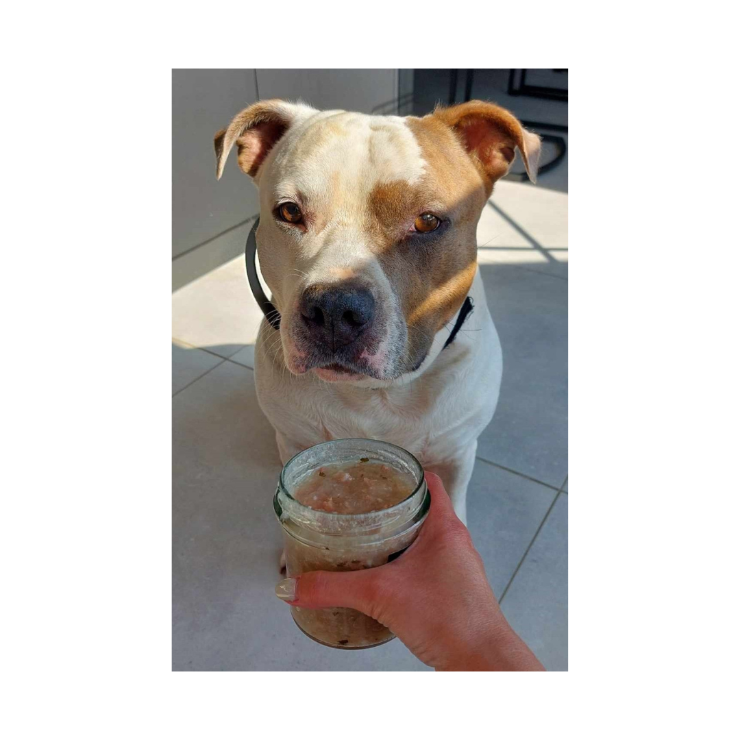 jax met hondenjam witte worst hondenjam-witte-worst