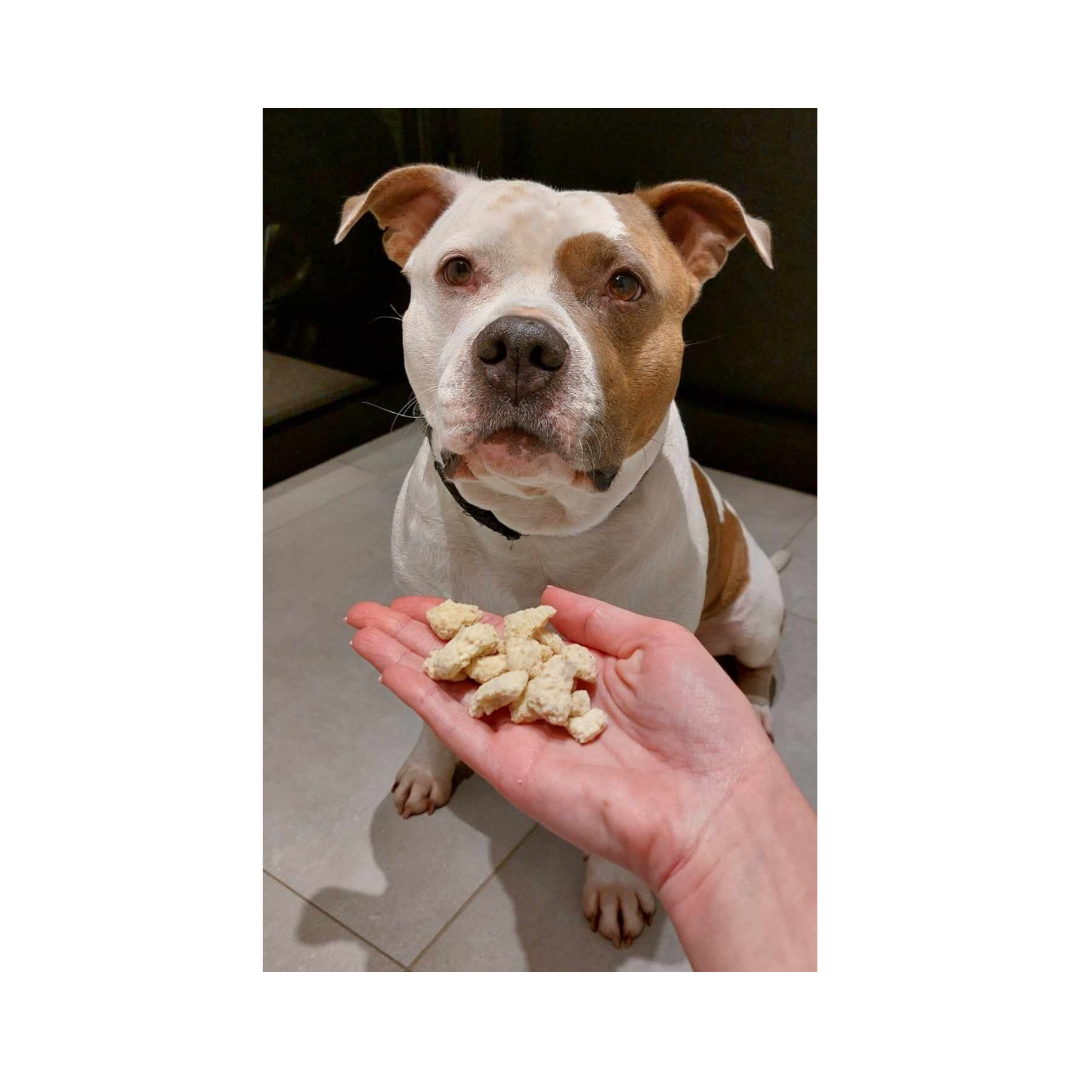 pawfect gevriesdroogde cheese treats 3 pawfect-gevriesdroogde-cheese-treats