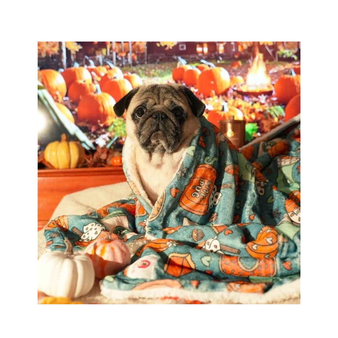Hondendeken my pug and co - pumpkin spice latte 2 hondendeken-my-pug-co-pumpkin-spice-latte