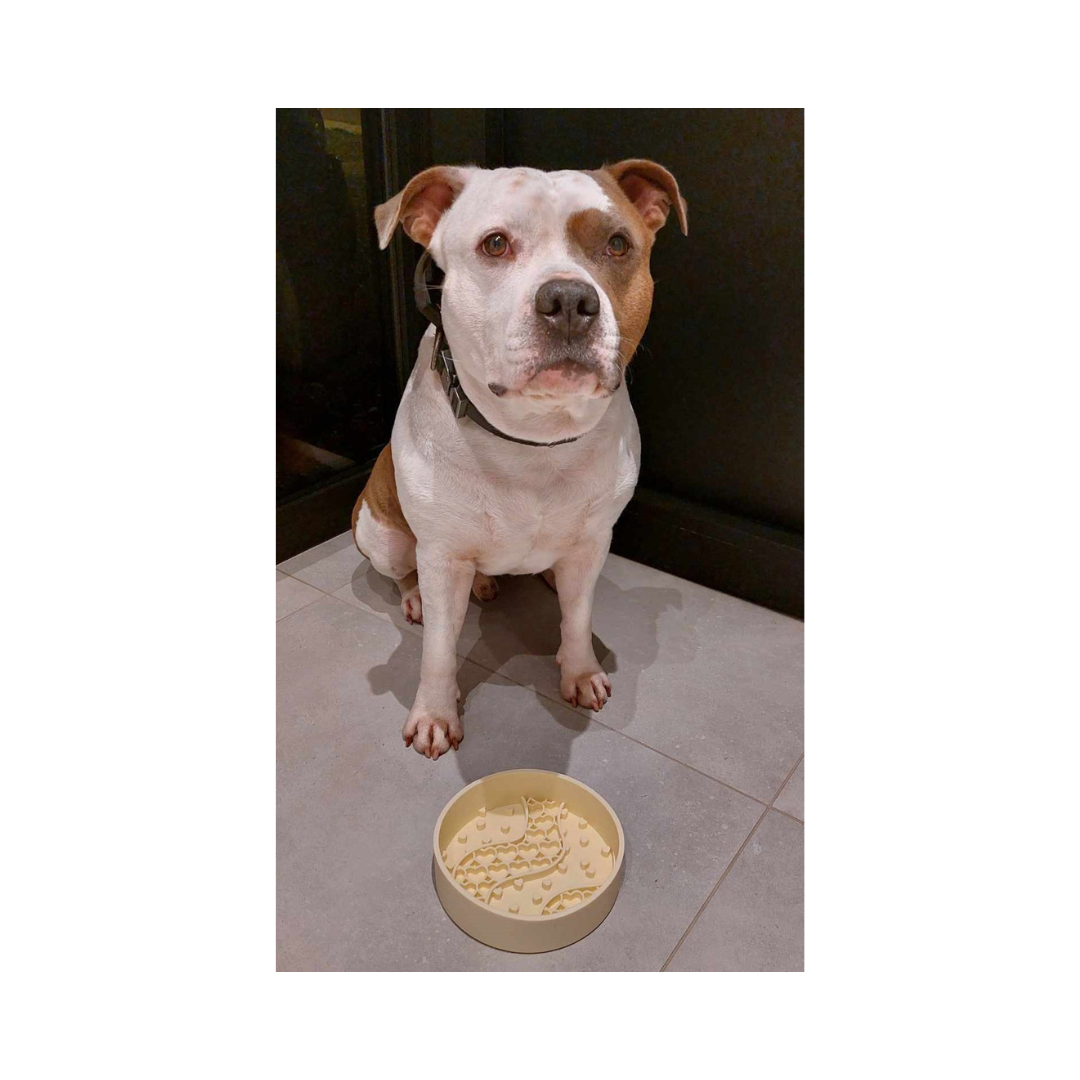 Jax met doggotique my valentine slowfeeder geel doggotique-my-valentine-slowfeeder-geel