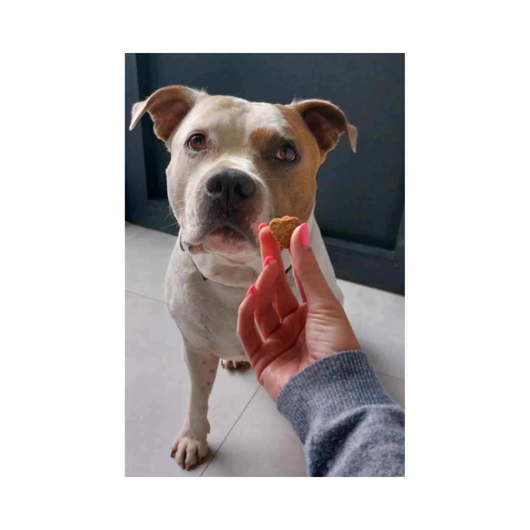 Jax met zachte trainers hartjes rund zachte-trainers-hartjes-rund