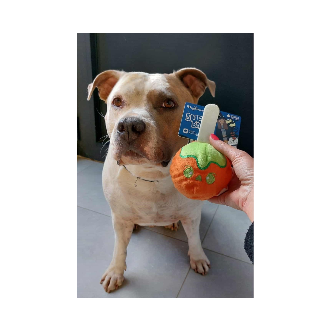 Jax met halloween candy apple ball halloween-candy-apple-ball