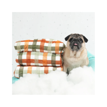 hondendeken-my-pug-and-co-autumn-picnic